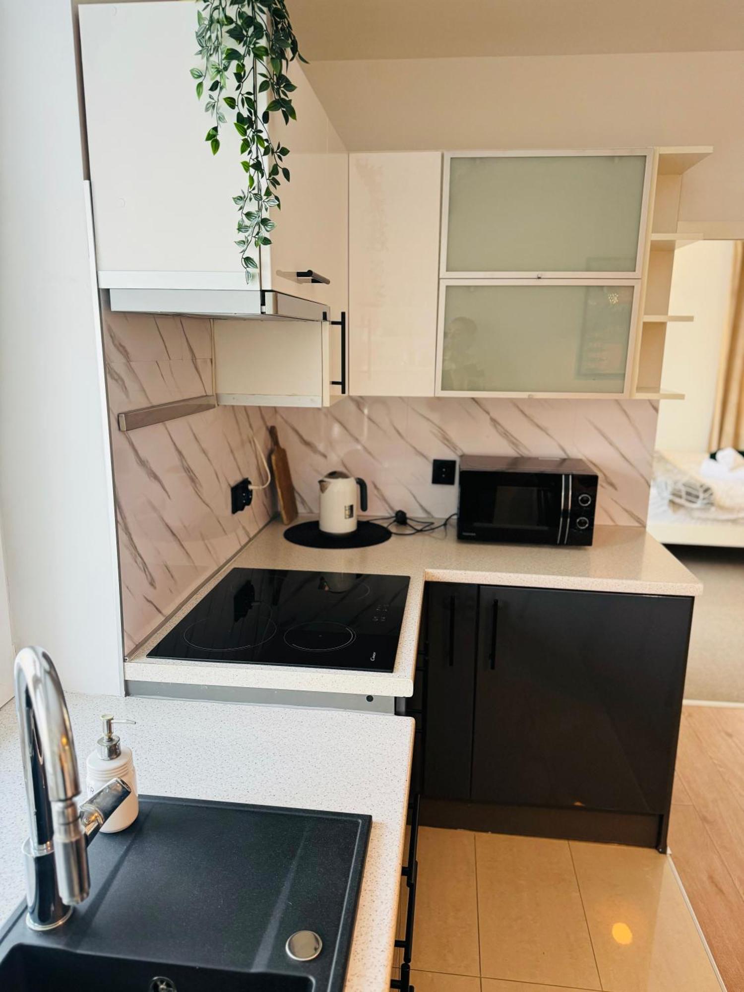 Villa Vincentow 마이슬레니체 외부 사진