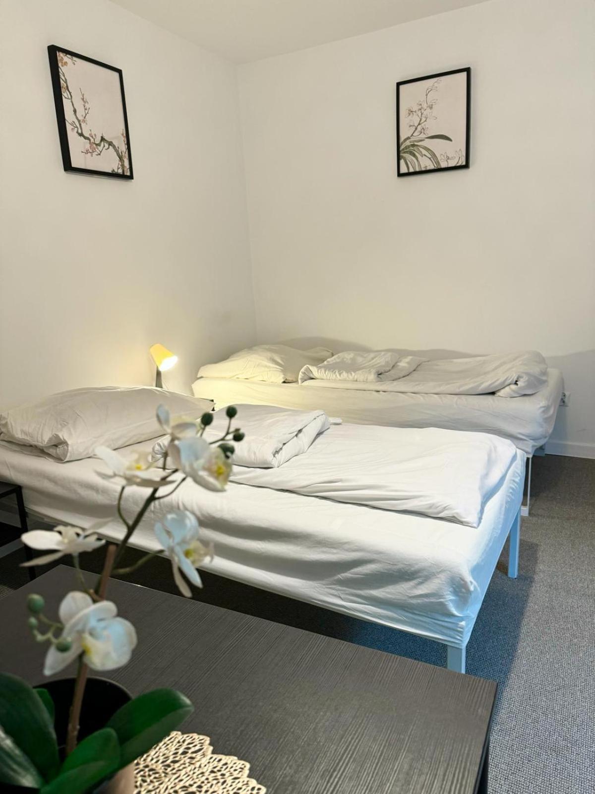 Villa Vincentow 마이슬레니체 외부 사진